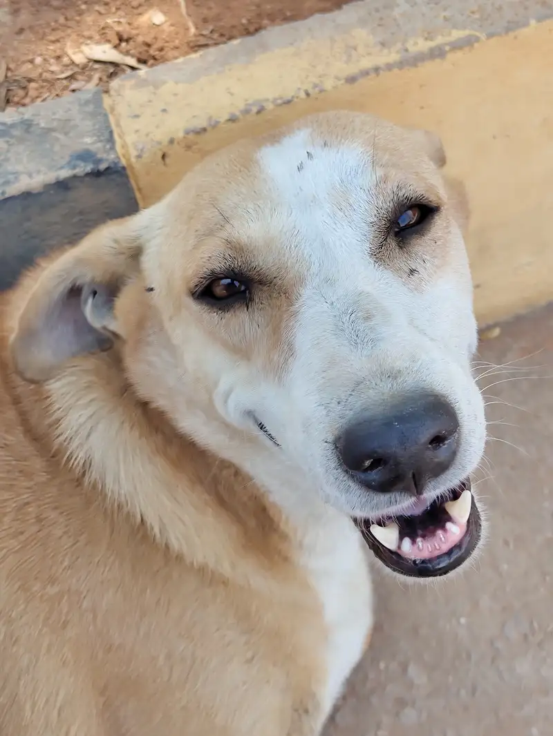 IMG 20240328 135227006