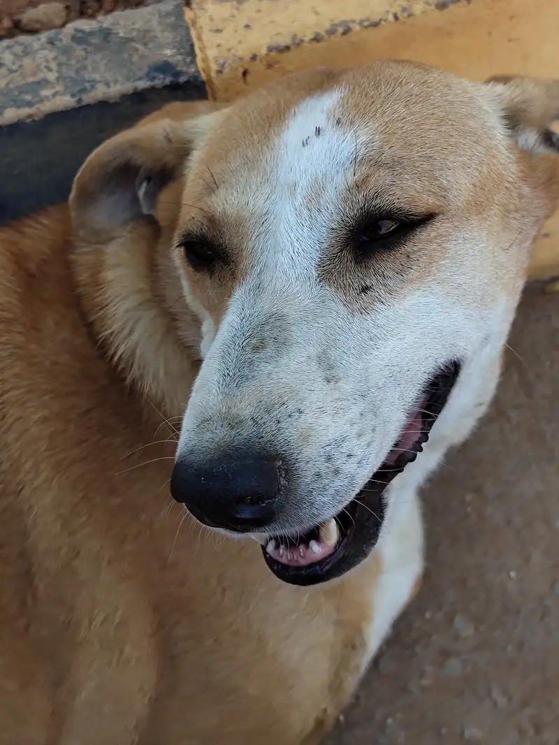 IMG 20240328 135237977