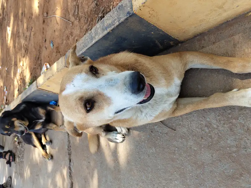 IMG 20240328 135411619