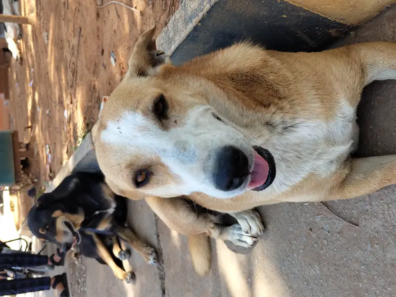 IMG 20240328 135429956