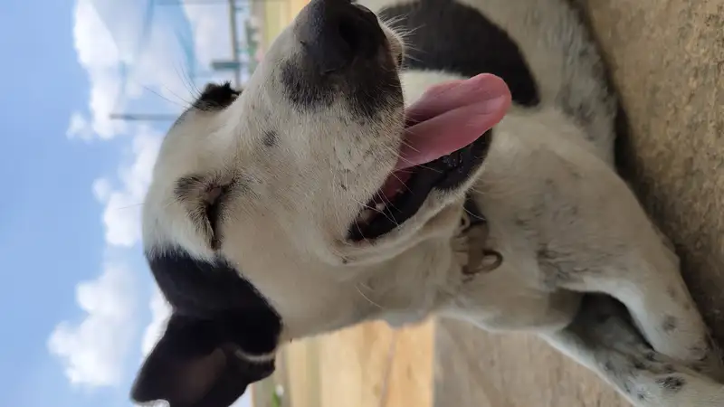 IMG 20240412 110813141