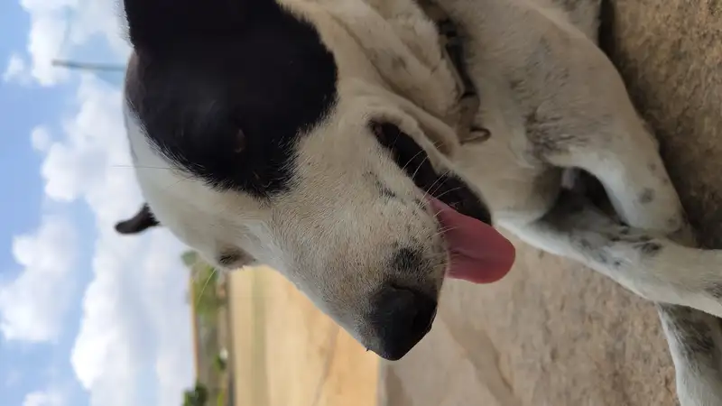 IMG 20240412 110820328