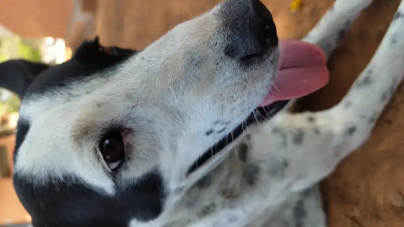 IMG 20240415 134658030