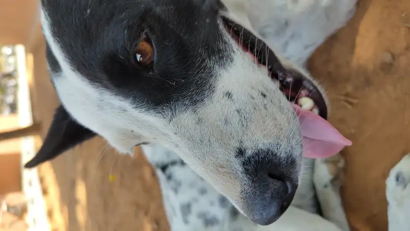 IMG 20240415 134703858