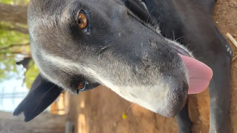 IMG 20240415 135108472