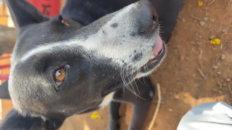 IMG 20240415 135147637