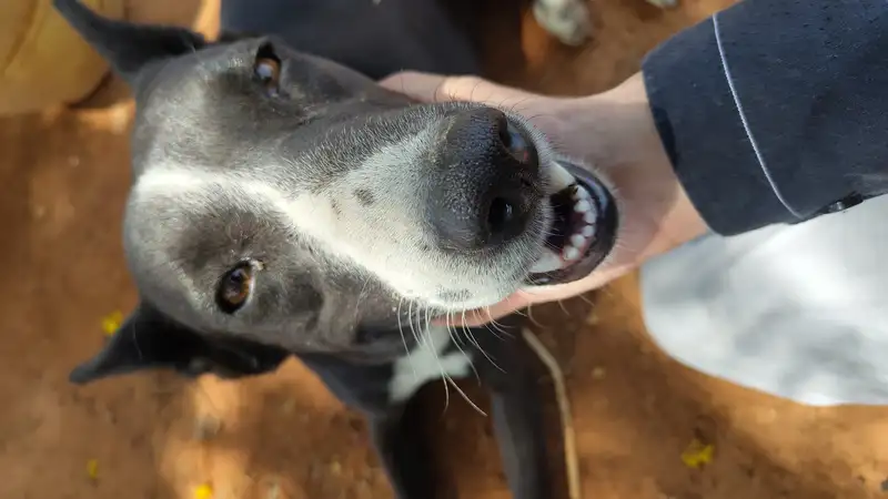 IMG 20240415 135157987