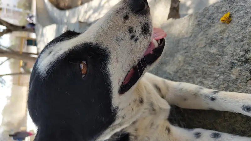 IMG 20240416 143007080